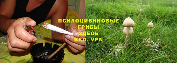 дживик Ладушкин