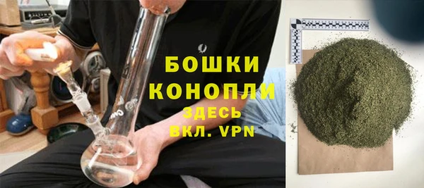 ПСИЛОЦИБИНОВЫЕ ГРИБЫ Лиски