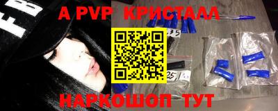 шишки Абакан