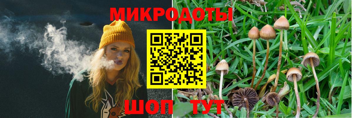 наркотики  Вход с VPN  Нефтеюганск  Галлюциногенные грибы Psilocybe  Галлюциногенные грибы Magic Shrooms 